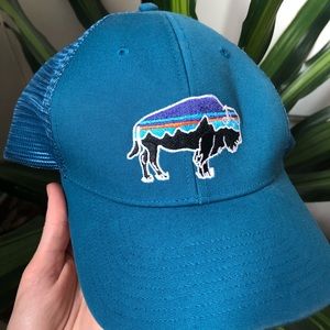 Patagonia hat
